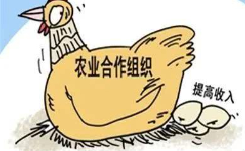 農業農村部關于加快發展農業社會化服務的指導意見